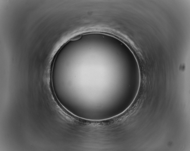 X0000100841512200806271100