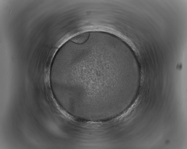 X0000100841513200806271100