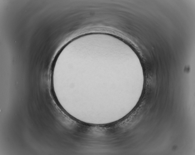 X0000100841514200806271100