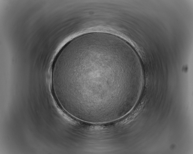 X0000100841515200806271100