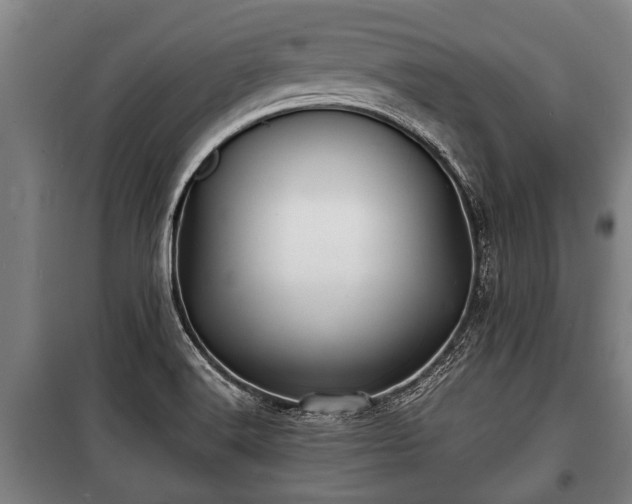 X0000100841516200806271100