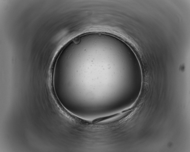 X0000100841517200806271100