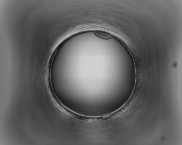 X0000100841518200806271100