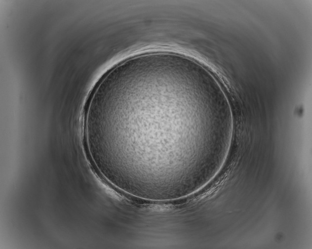 X0000100841519200806271100