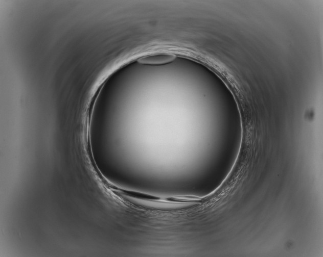 X0000100841520200806271100