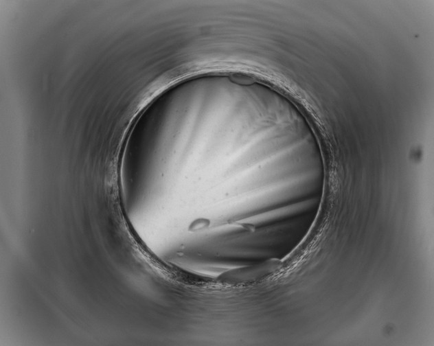 X0000100841521200806271100