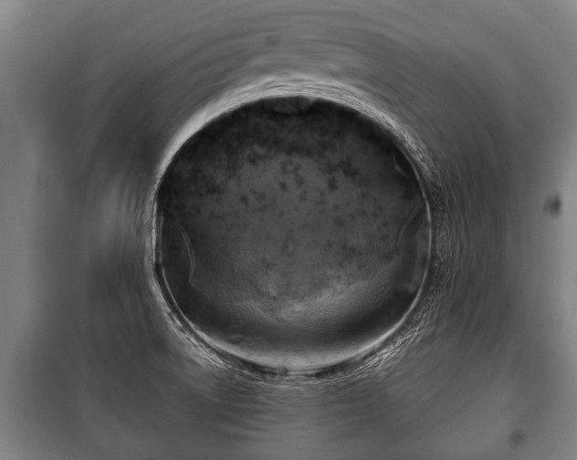 X0000100841522200806271100