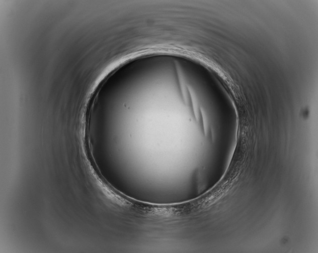 X0000100841523200806271100