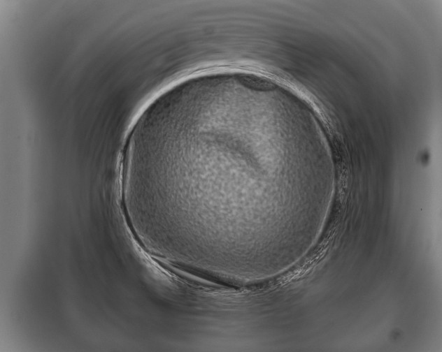 X0000100841524200806271100