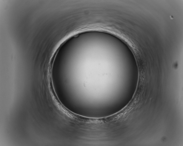 X0000100841526200806271100