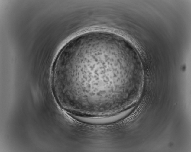 X0000100841527200806271100