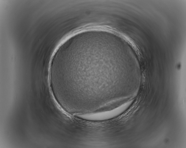 X0000100841528200806271100