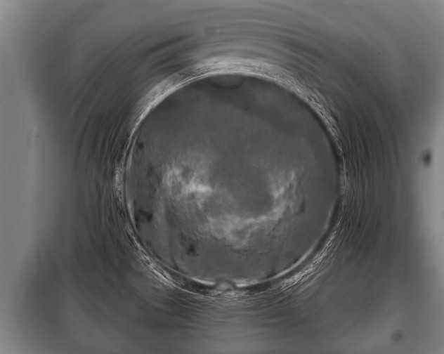 X0000100841529200806271100