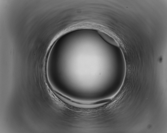 X0000100841530200806271100