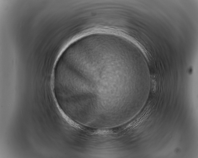 X0000100841531200806271100