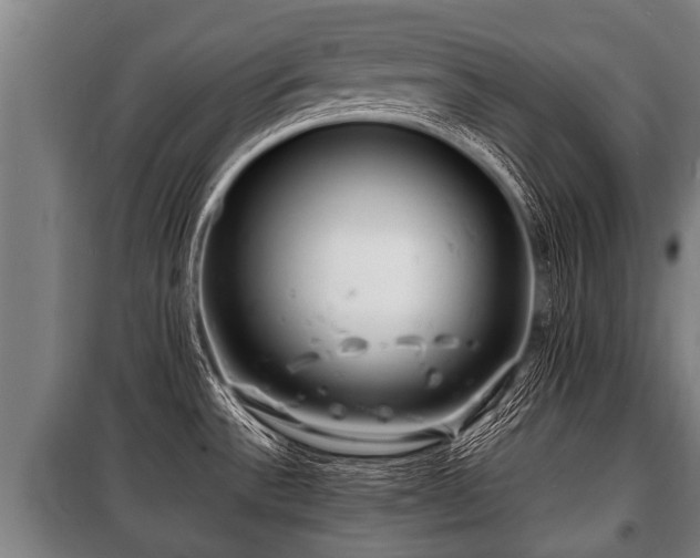 X0000100841532200806271100