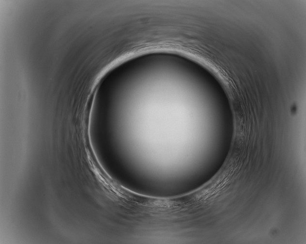 X0000100841534200806271100