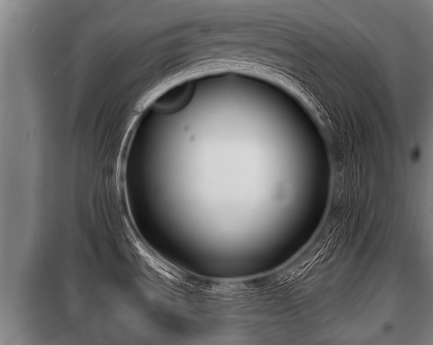 X0000100841535200806271100