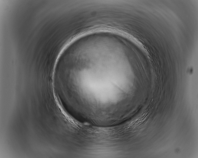 X0000100841536200806271100