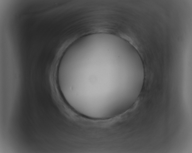 X0000100840001200807070943