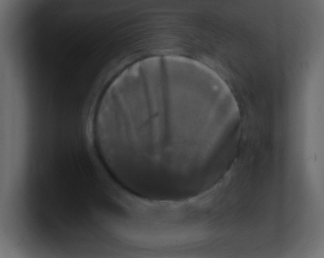 X0000100840002200807070943