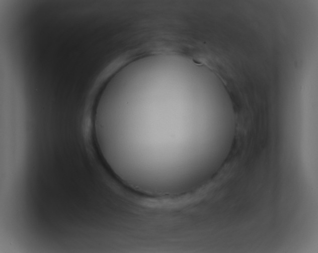 X0000100840005200807070943