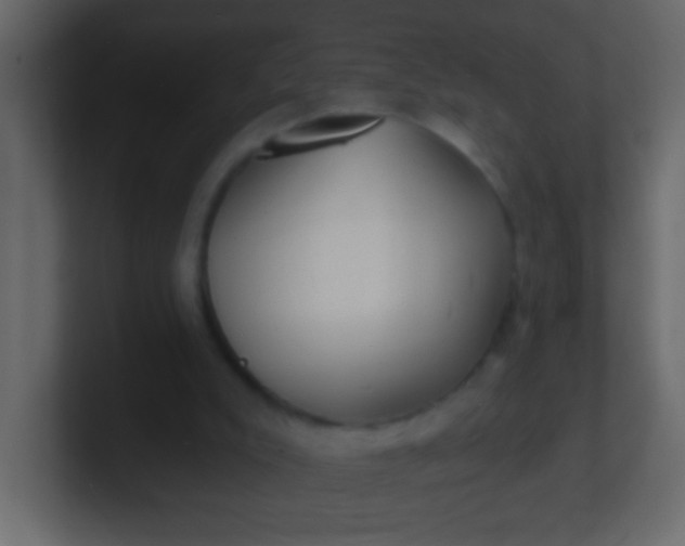 X0000100840007200807070943