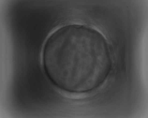 X0000100840008200807070943