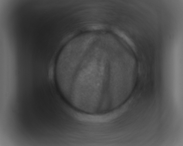 X0000100840010200807070943