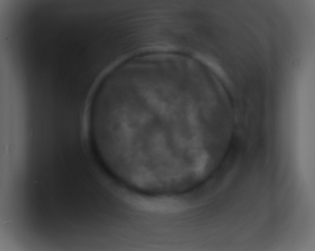 X0000100840012200807070943