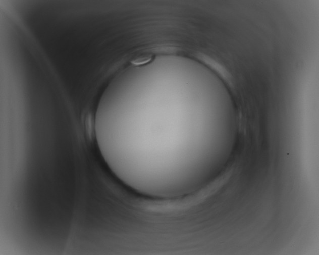 X0000100840013200807070943