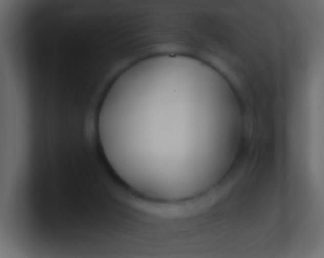 X0000100840015200807070943