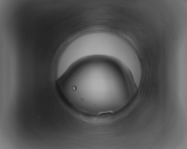 X0000100840016200807070943