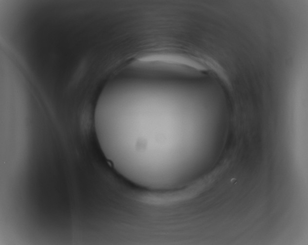 X0000100840017200807070943