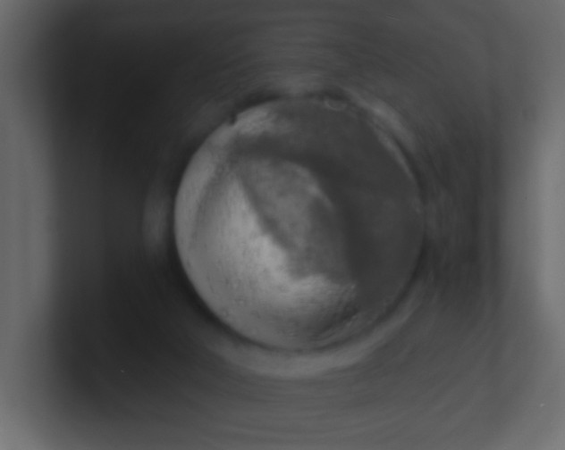 X0000100840018200807070943