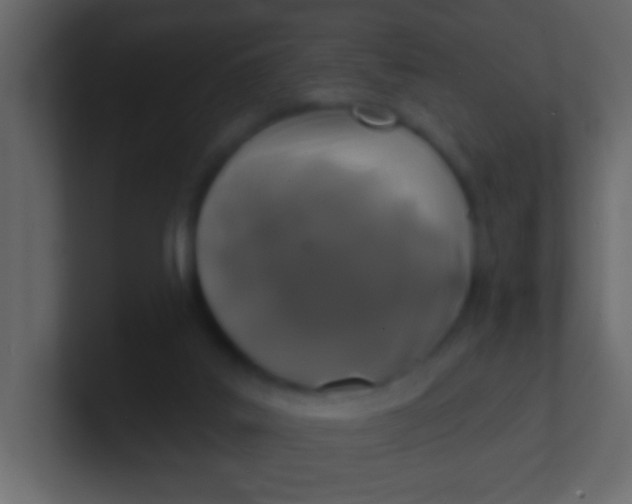 X0000100840019200807070943