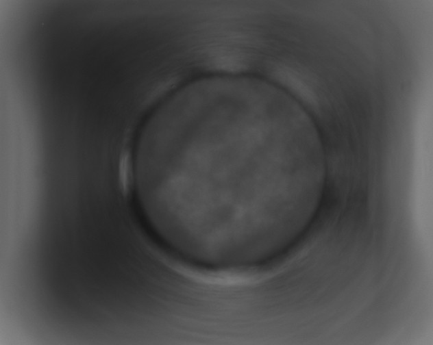 X0000100840020200807070943