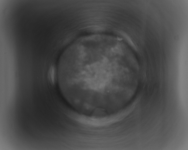 X0000100840022200807070943