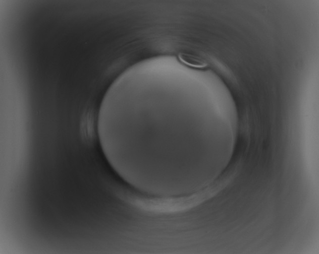 X0000100840023200807070943