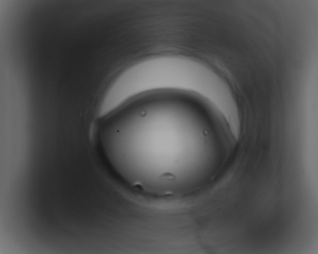 X0000100840024200807070943