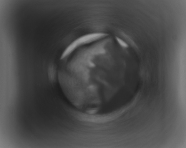 X0000100840026200807070943