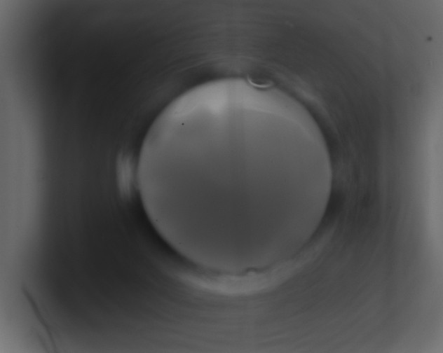 X0000100840027200807070943