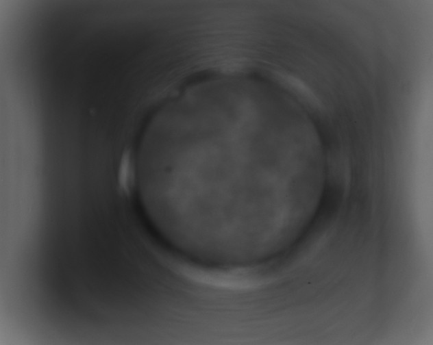 X0000100840028200807070943