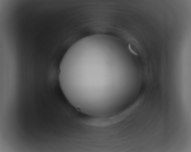 X0000100840029200807070943