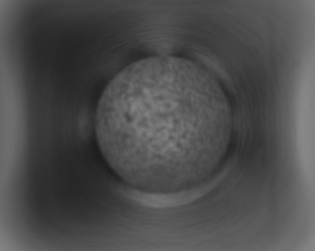 X0000100840030200807070943