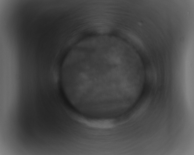 X0000100840032200807070943