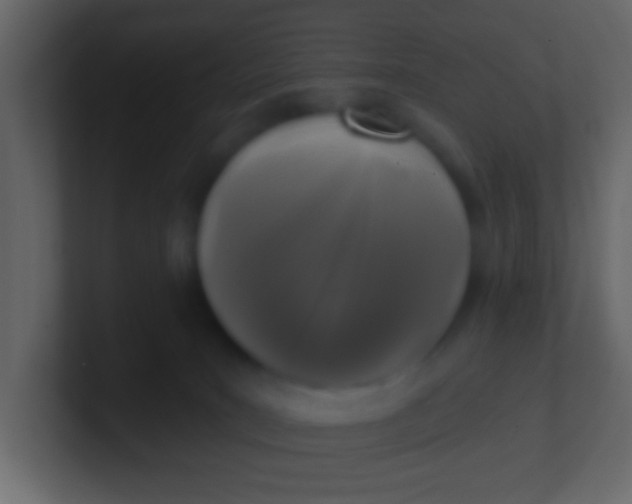 X0000100840035200807070942