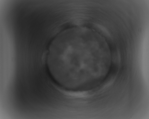 X0000100840036200807070942