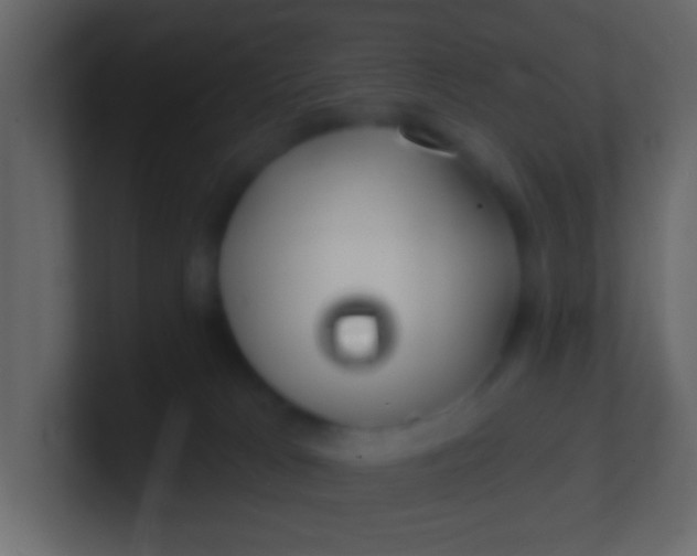 X0000100840037200807070942