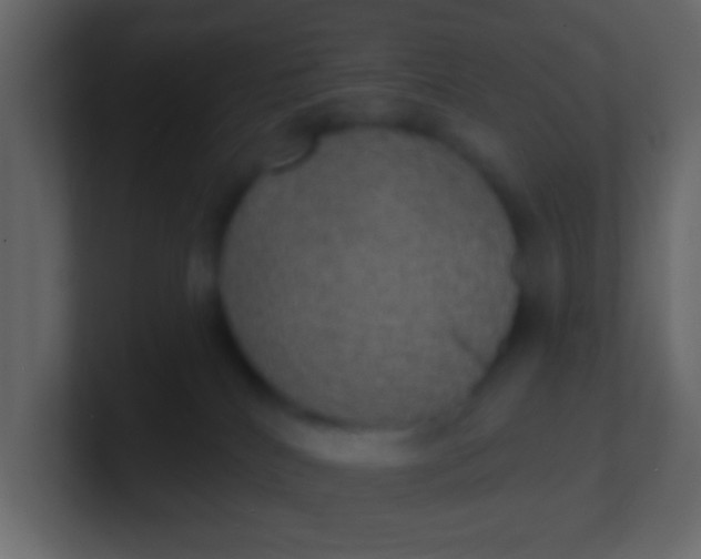 X0000100840040200807070942